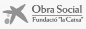 Obra Social Fundació la Caixa